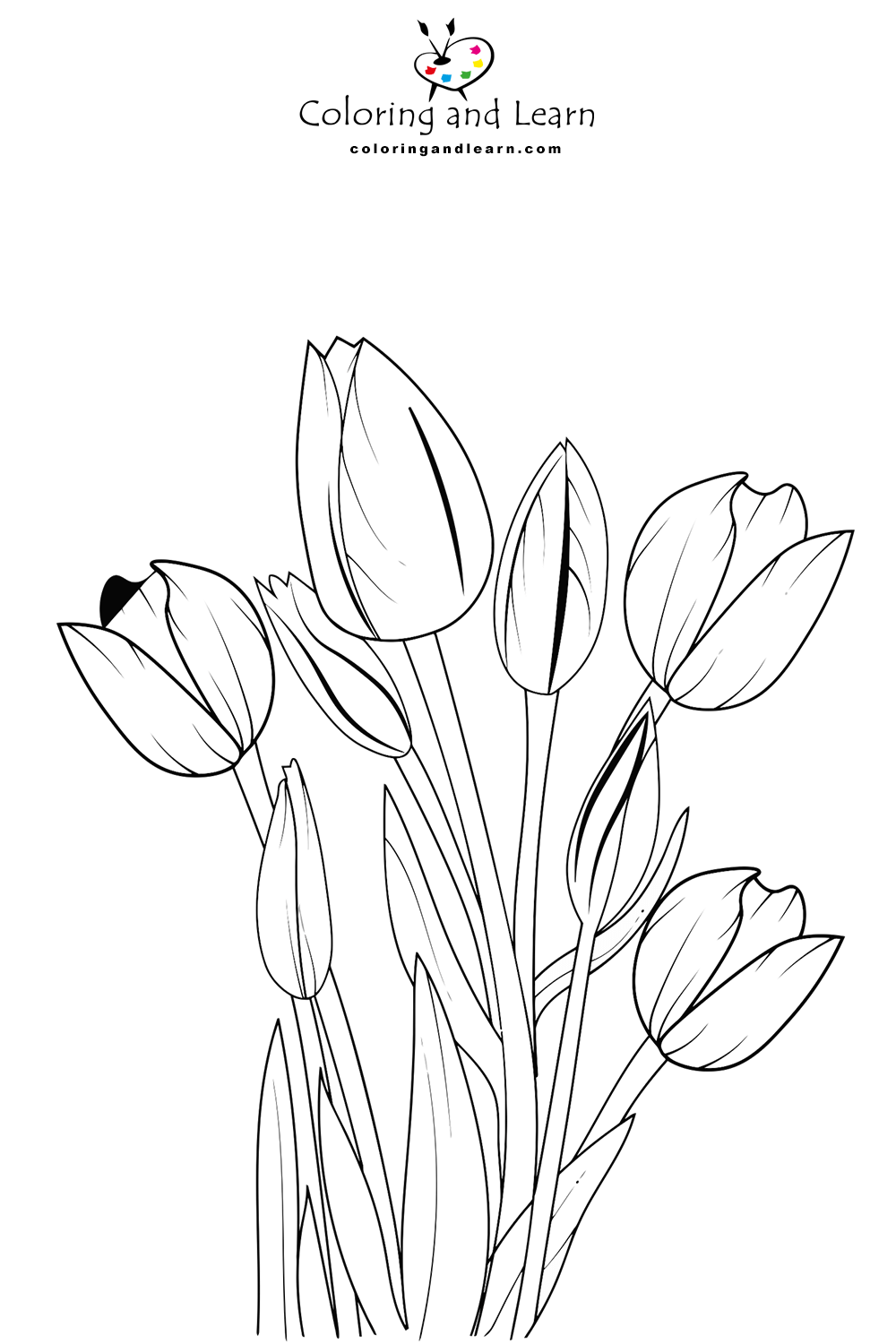 Tulips coloring pages