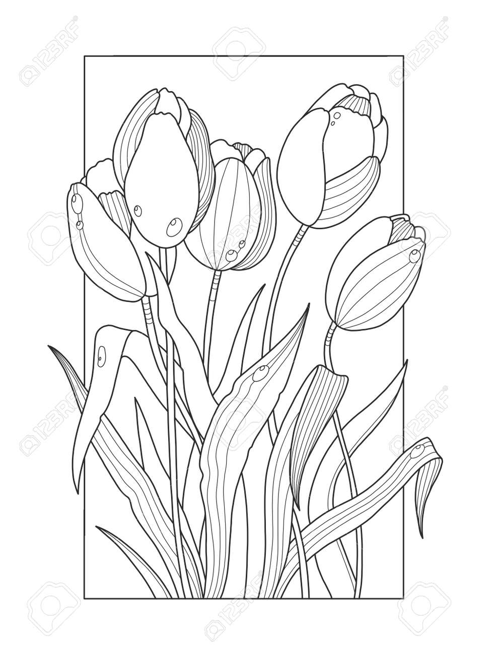 Tulip flowers coloring book vector illustration royalty free svg cliparts vectors and stock illustration image