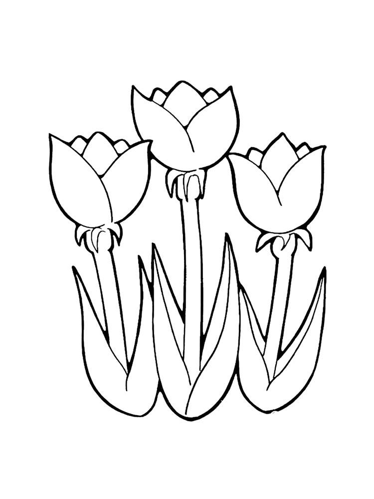 Printable and easy tulip coloring pages for kids