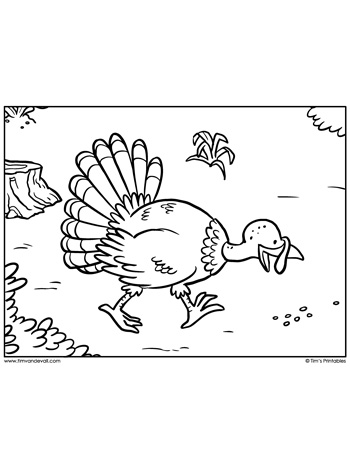 Thanksgiving turkey coloring page â tims printables