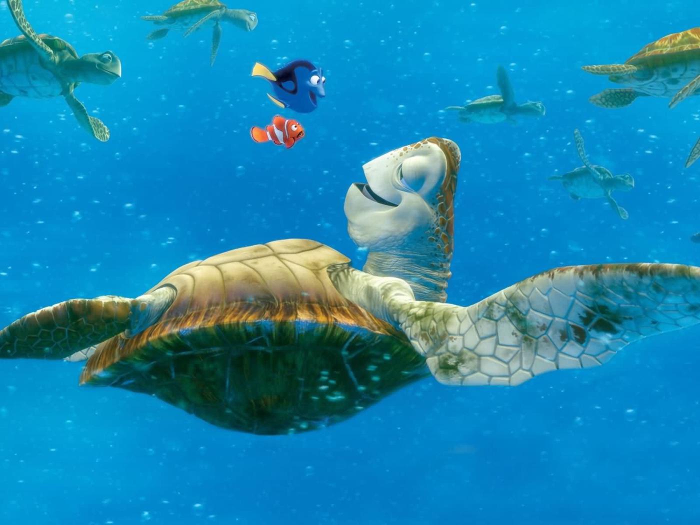 Sea turtle desktop wallpapers