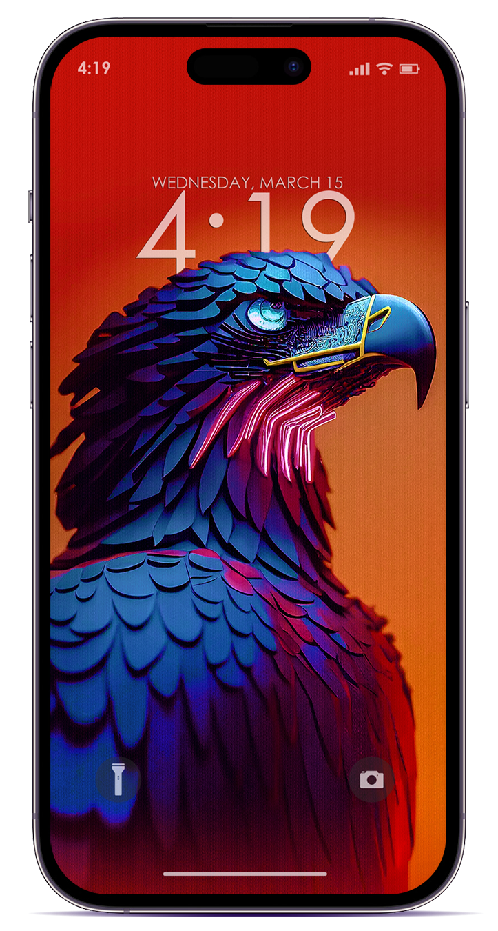 Eagle hd wallpaper iphone