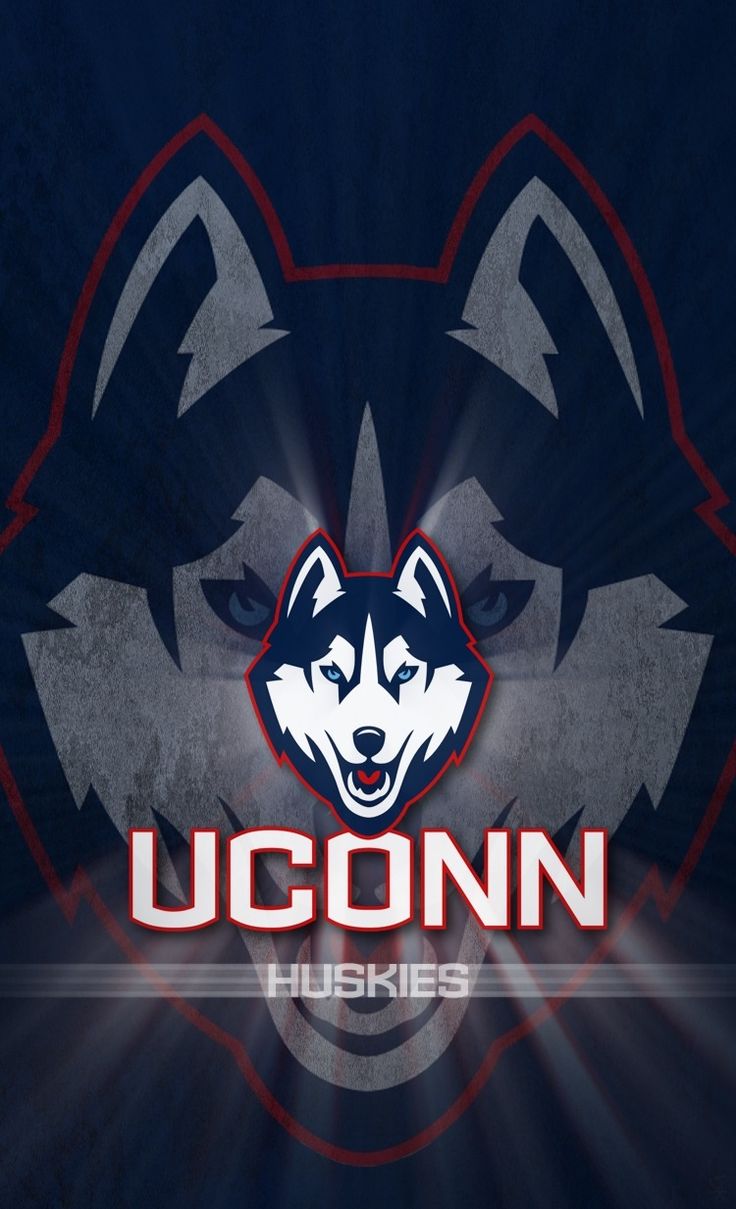 University on connecticut uconn uconn womens basketball uconn huskies