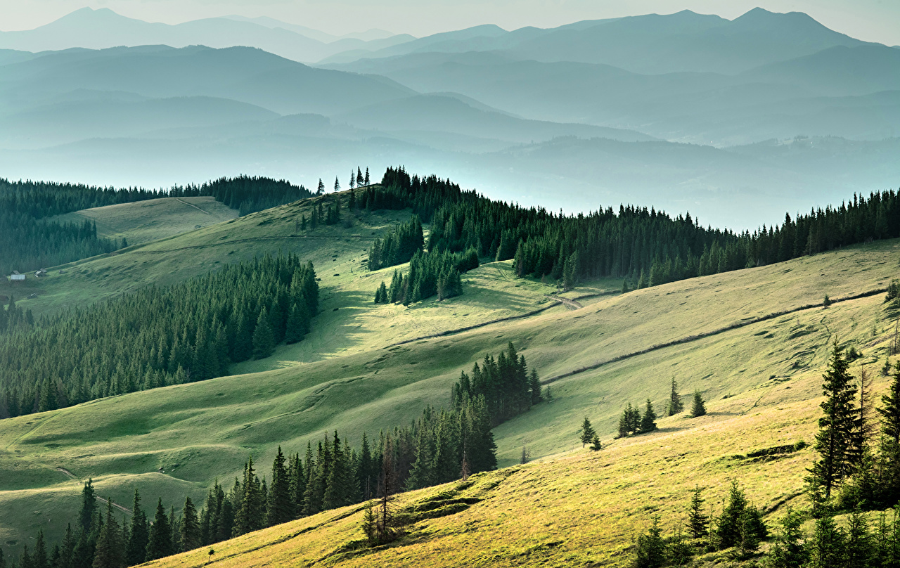Desktop wallpapers ukraine nature mountains forest landscape