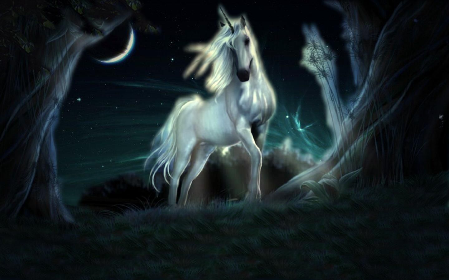 Unicorn puter wallpapers desktop backgrounds x id mythical creatures unicorn wallpaper unicorn pictures
