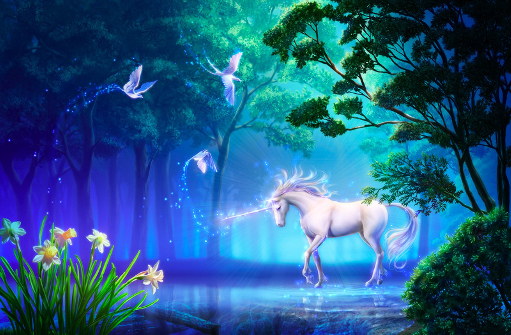Fantasy unicorn hd papers and backgrounds
