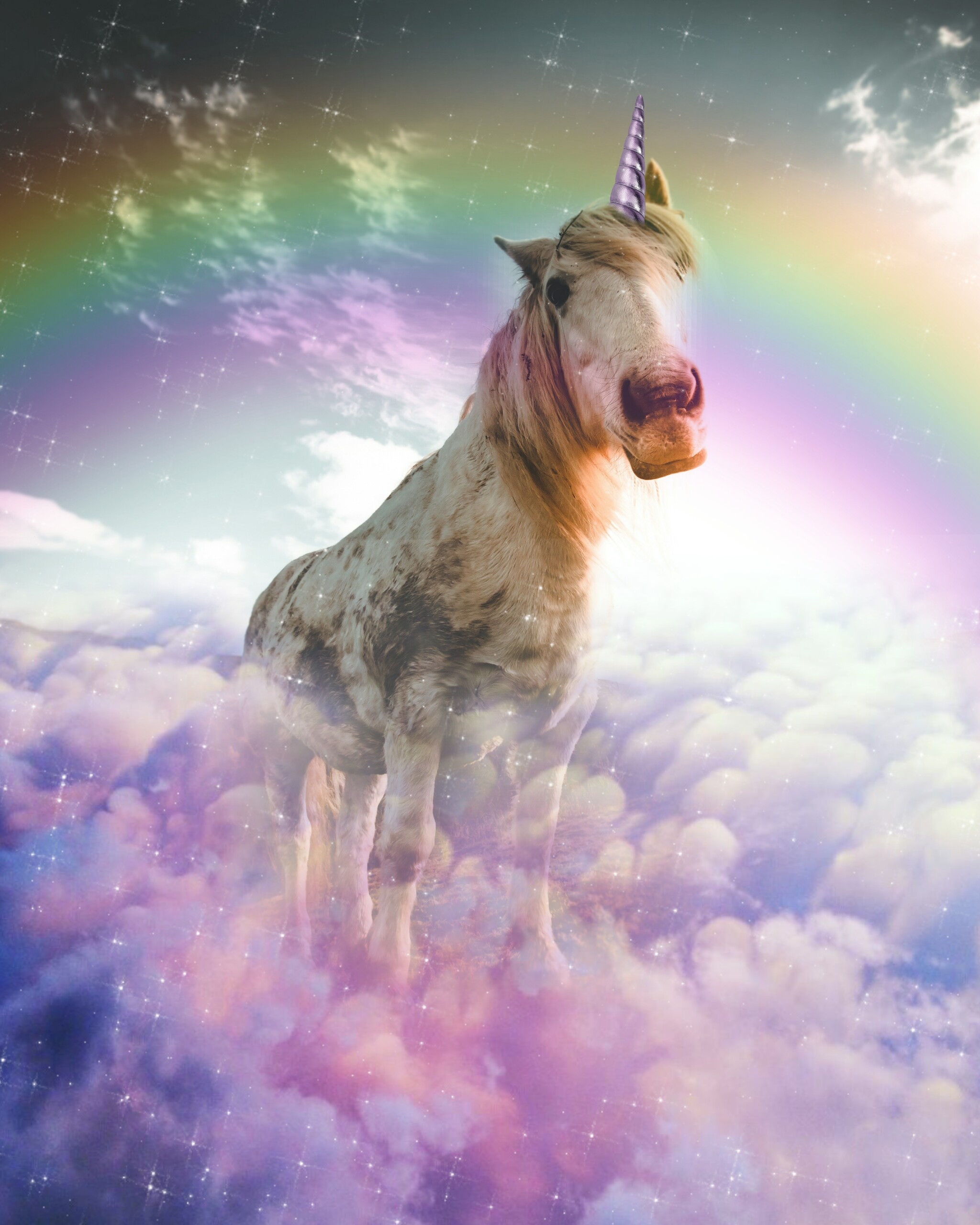 Unicorn wallpapers download