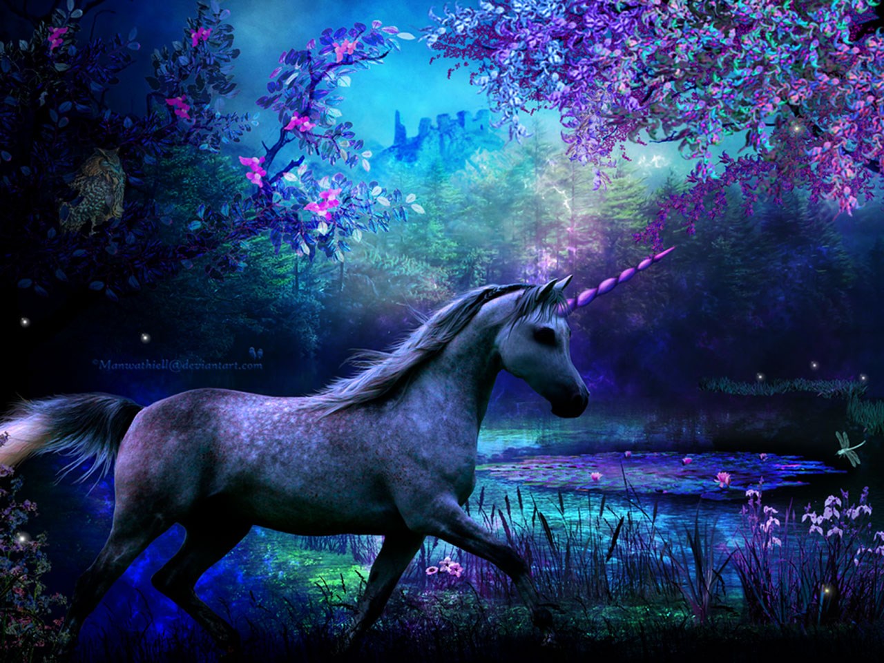 Free screensaver wallpapers for unicorn