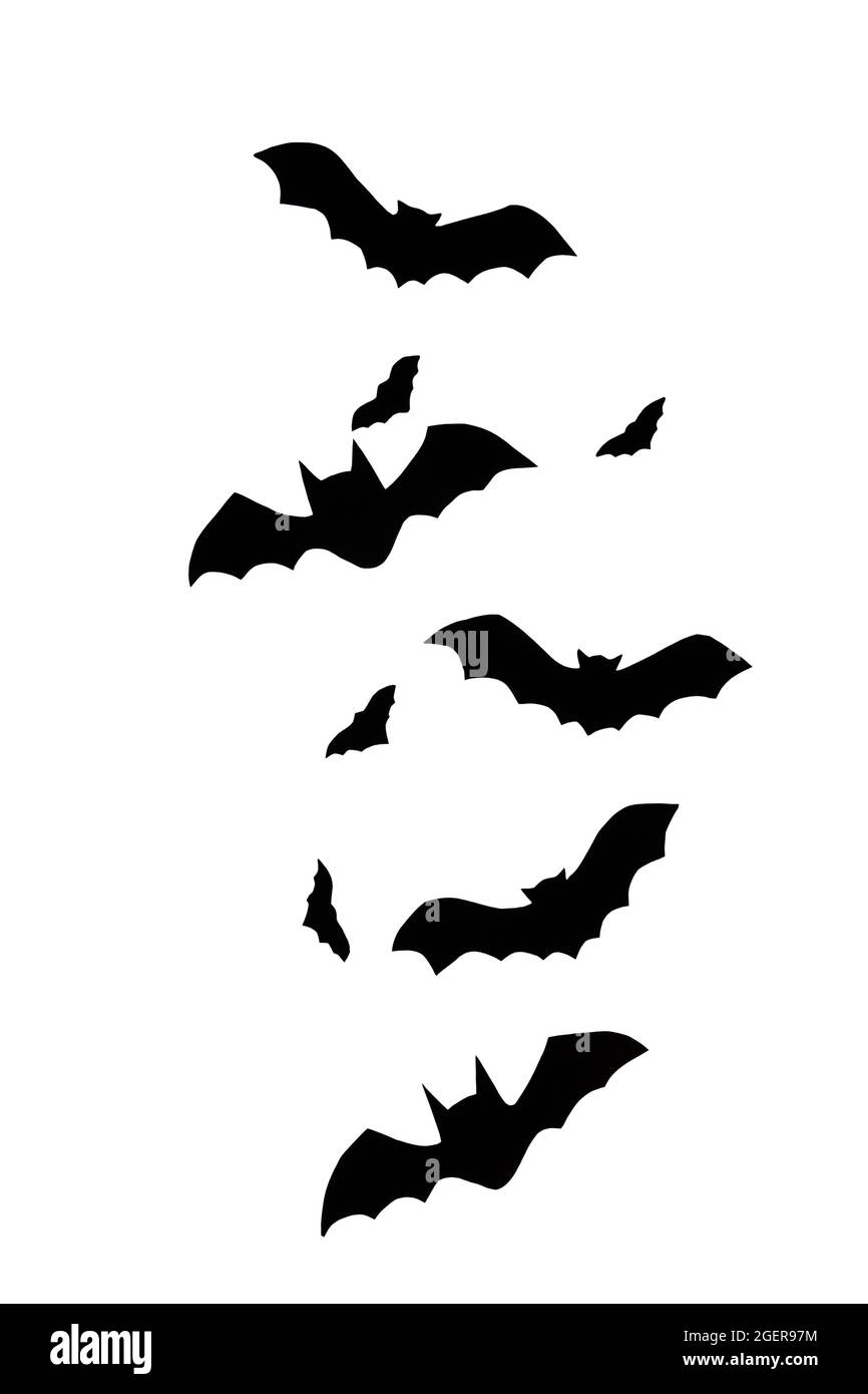 Halloween spooky symbol of vampire bat silhouette against white background stock photo