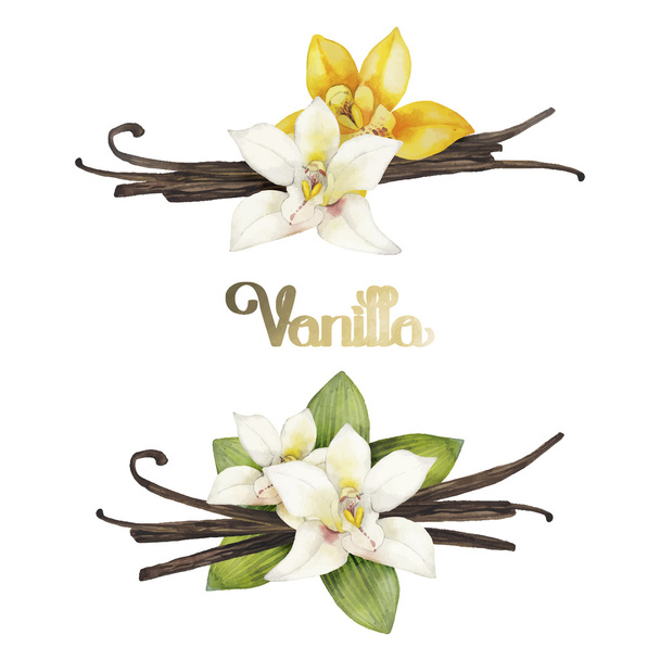 Vanilla flower free stock vectors