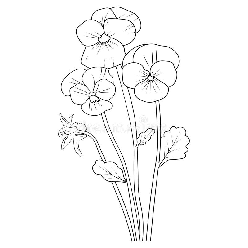 Simple flower coloring pages coloring pages for adults hand drawing flower sketch art of pansy blossom violet flower line ar stock vector