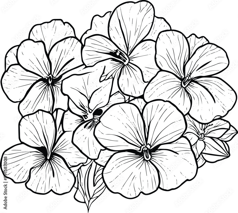 Sketch contour bouquet of pansy flowers sketch violet flower drawing flower cluster drawing easy flower coloring pages flower coloring page for kids purple pansies drawing vector