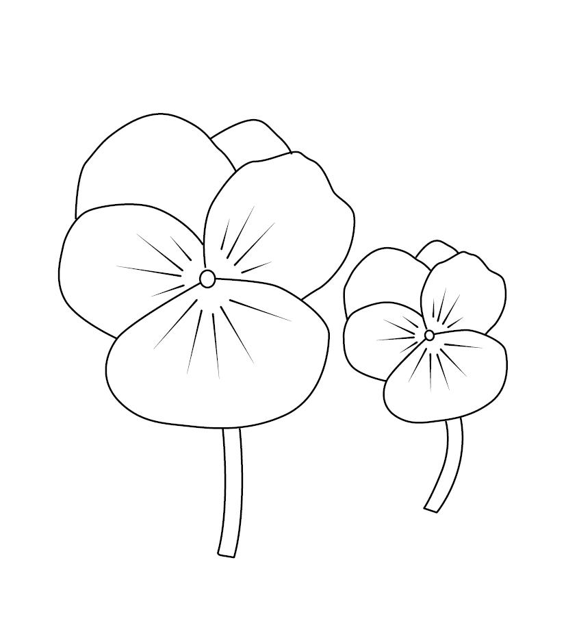 Pansy flower colouring page free colouring book for children â monkey pen store