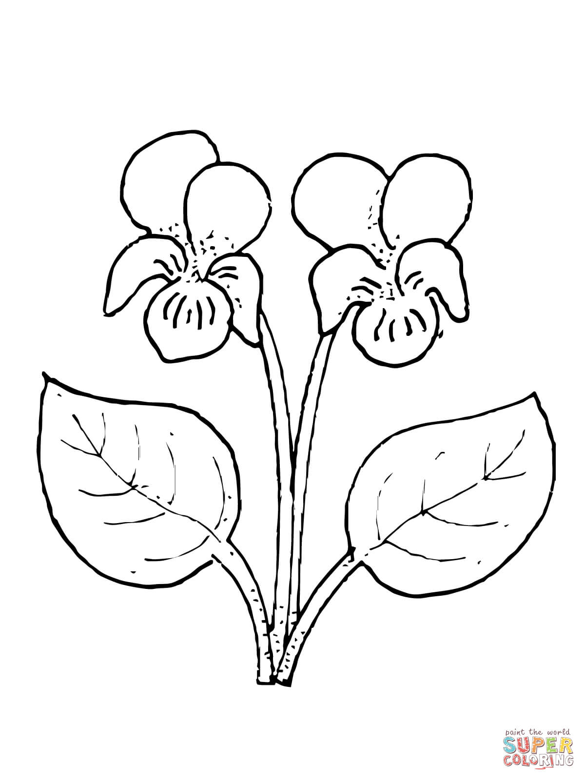 Violet flower coloring page free printable coloring pages