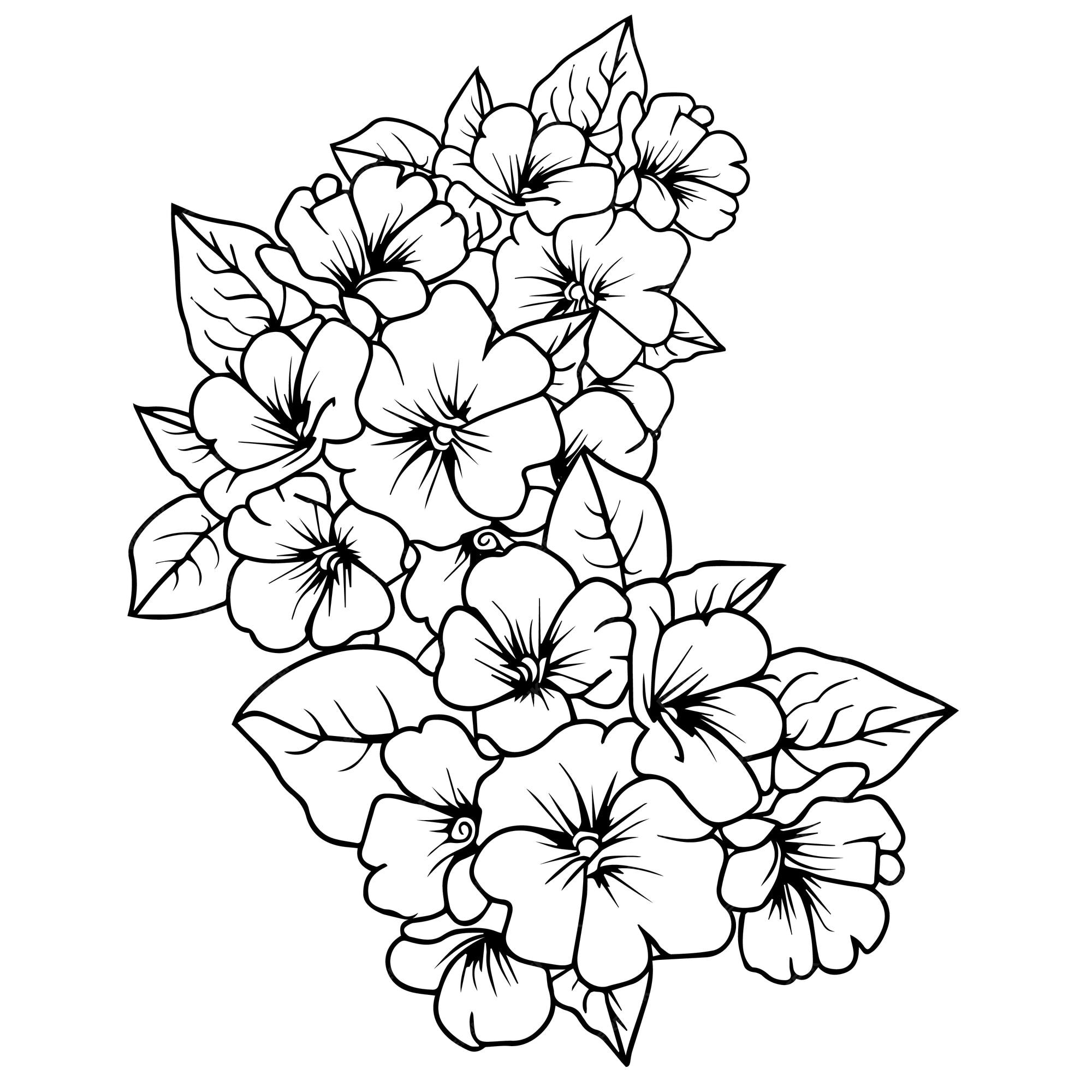 Premium vector easy primrose flower drawing primrose line drawing wild primrose drawing violet primrose drawing