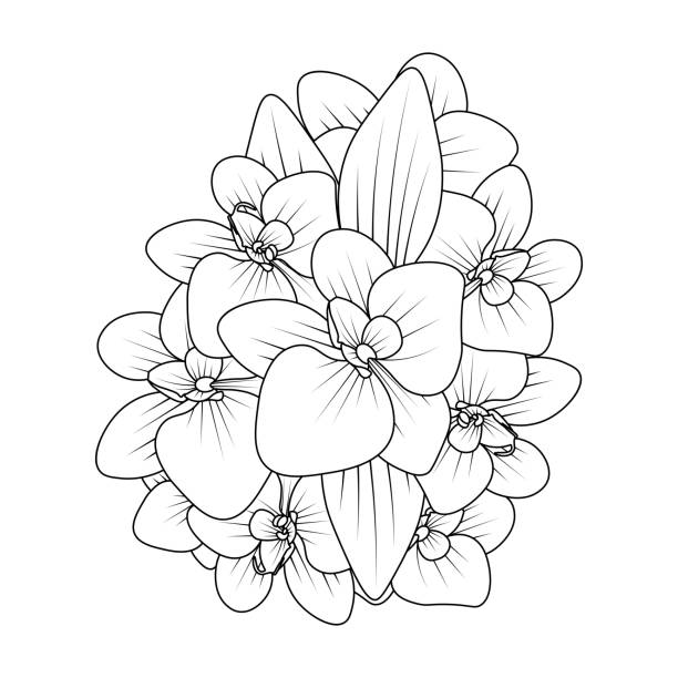 Orchid flower outline line coloring page of easy sketches hand drawing design stock illustration
