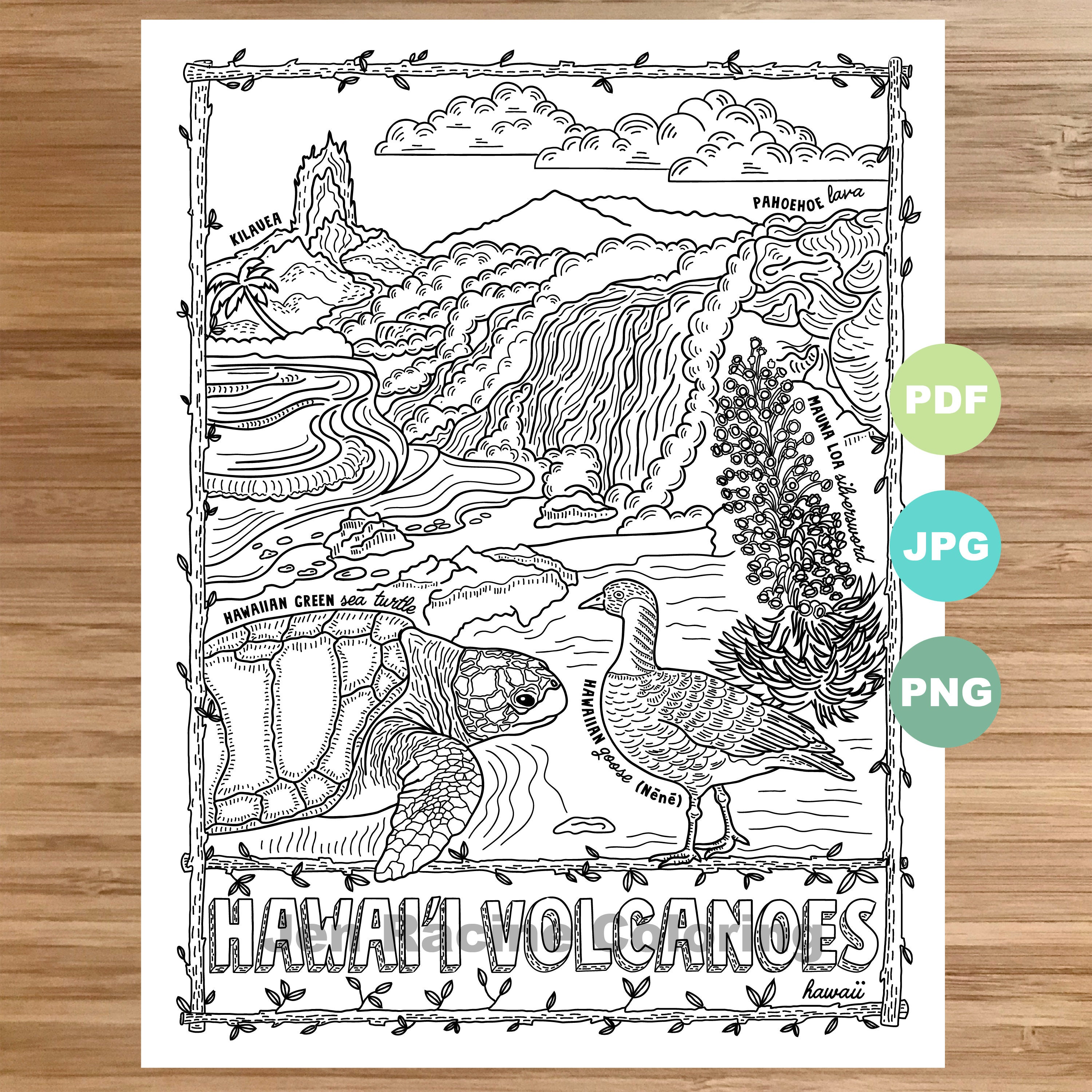 National park coloring page hawaii volcanoes hawaii national park landscape animal plant wildflower coloring page printable