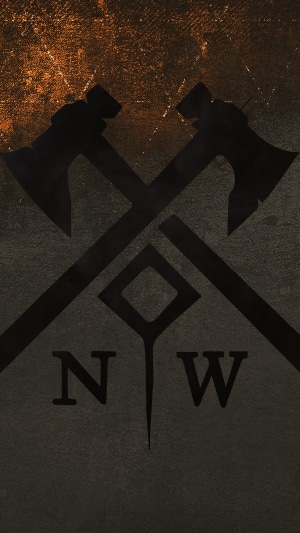 New world video game logo