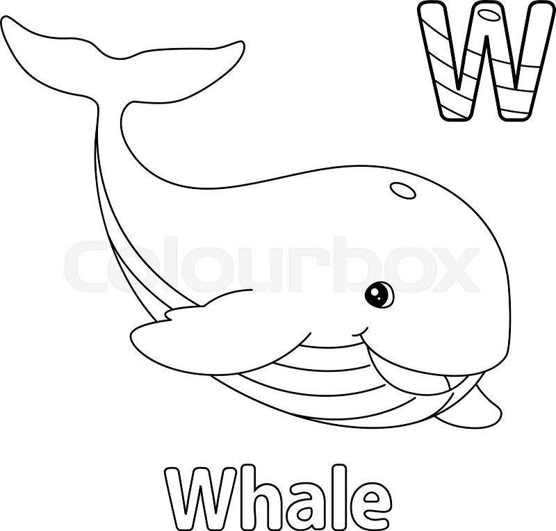Whale alphabet abc coloring page w stock vector