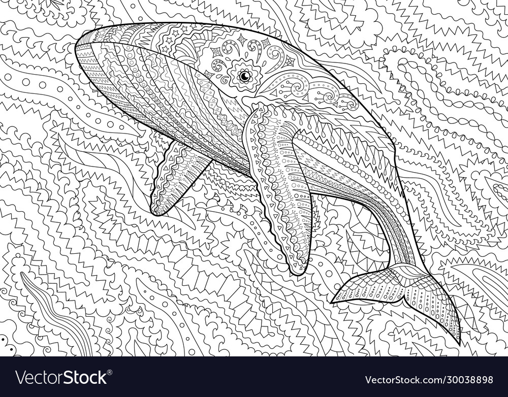 Coloring pages for adult with blue whale vector image
