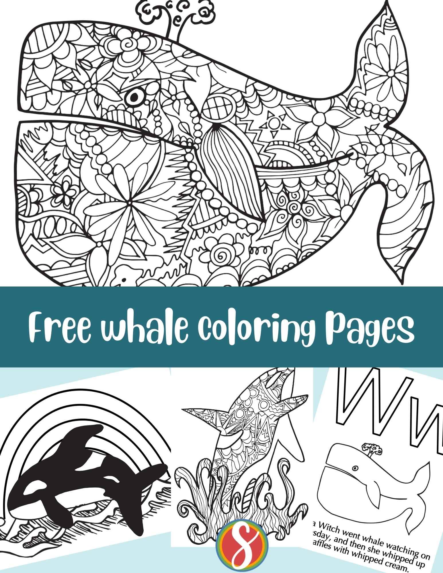 Free whale coloring pages â stevie doodles