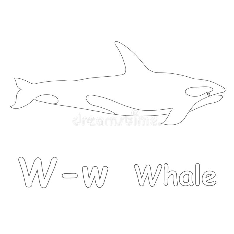 W for whale coloring page stock illustration illustration of animals