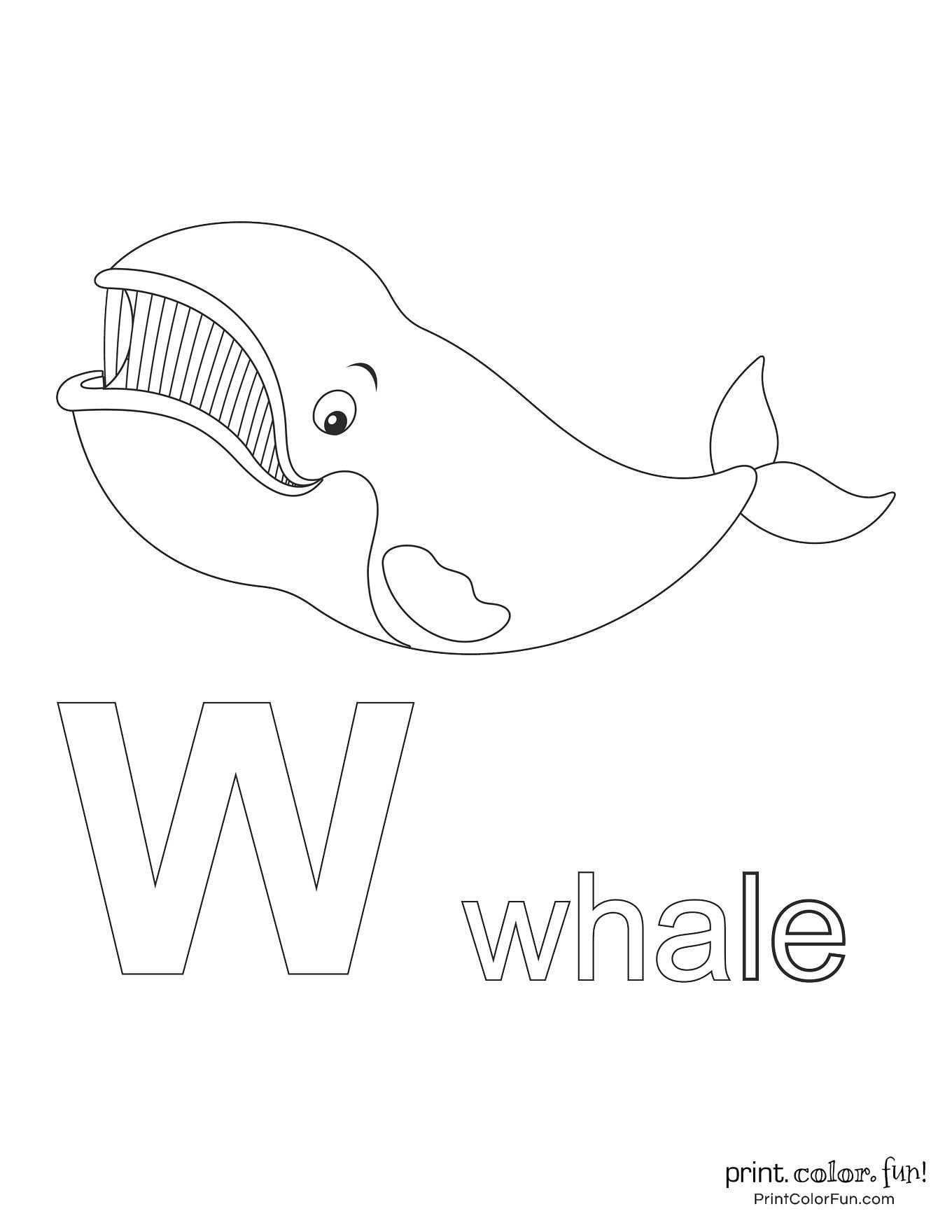 Whale drawings clipart add a splash of creativity fun to learning adventures at