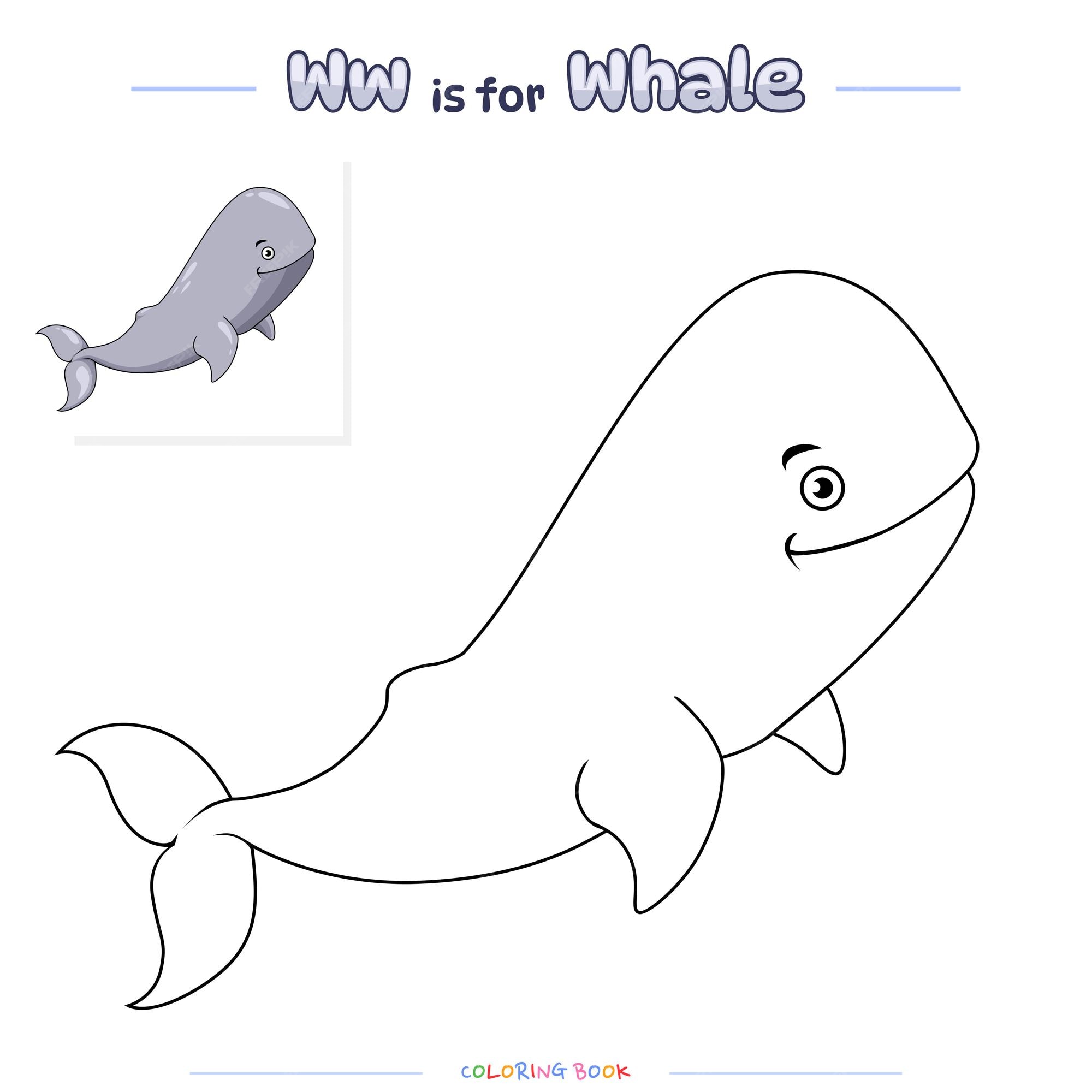 Premium vector coloring page whale cartoon