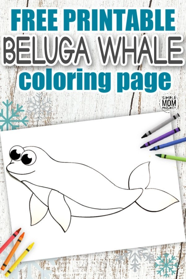 Free printable beluga whale template â simple mom project