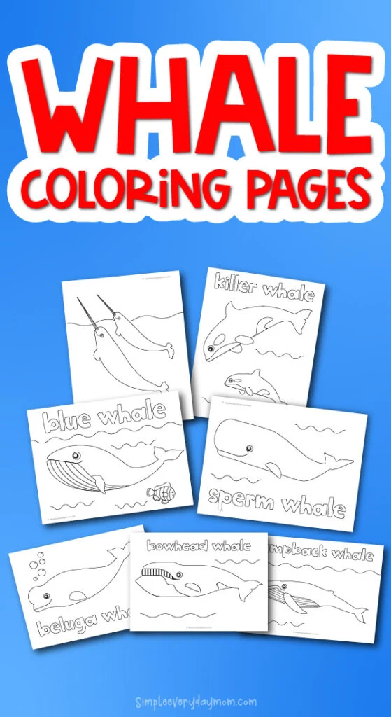 Awesome whale coloring pages for kids