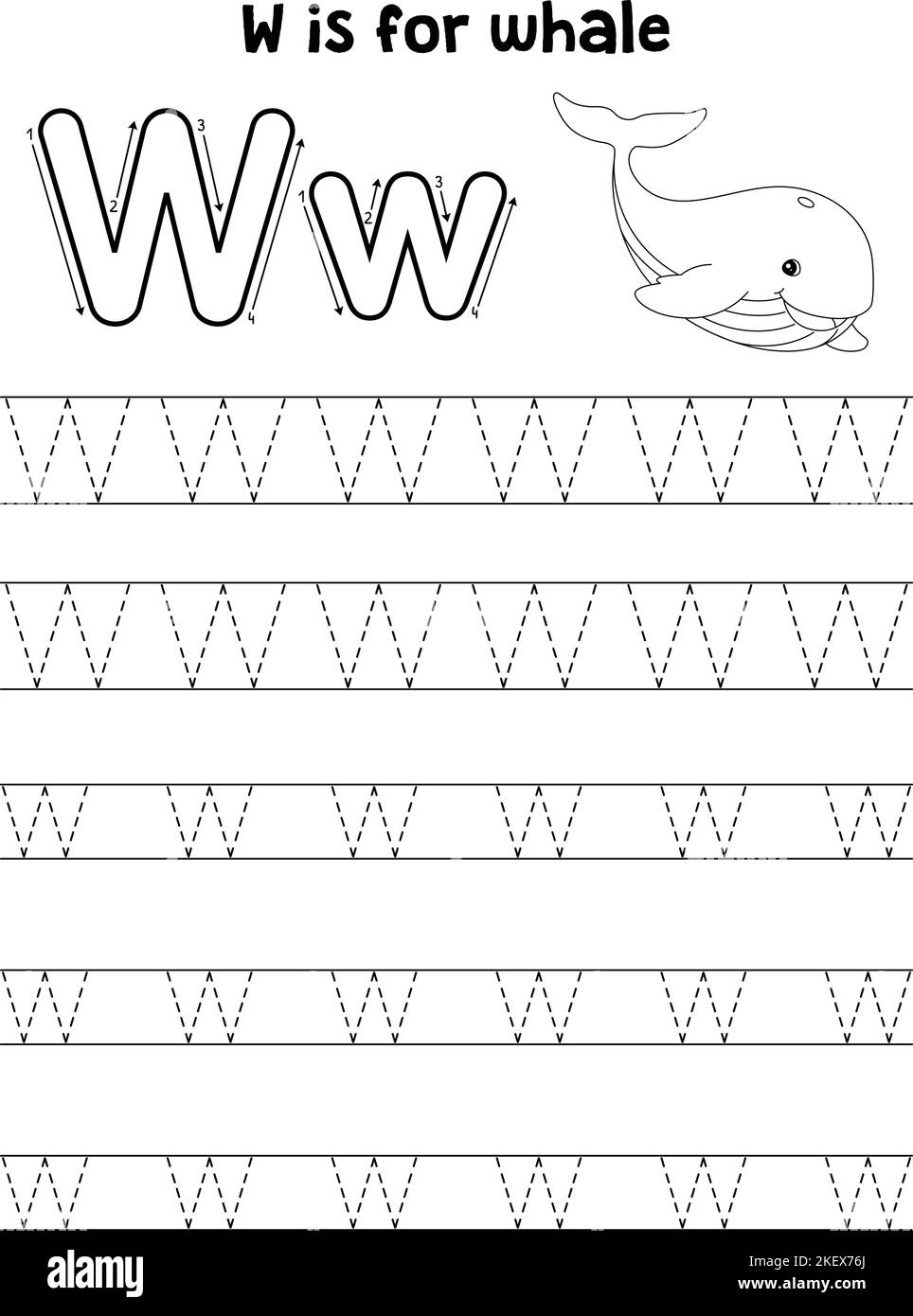 Whale animal tracing letter abc coloring page w stock vector image art