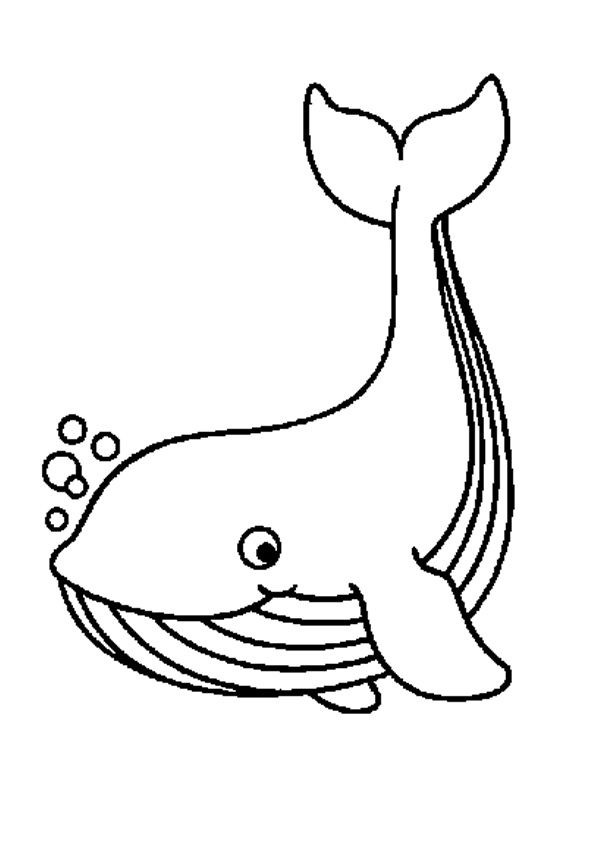 Coloring pages whale coloring pages for kids