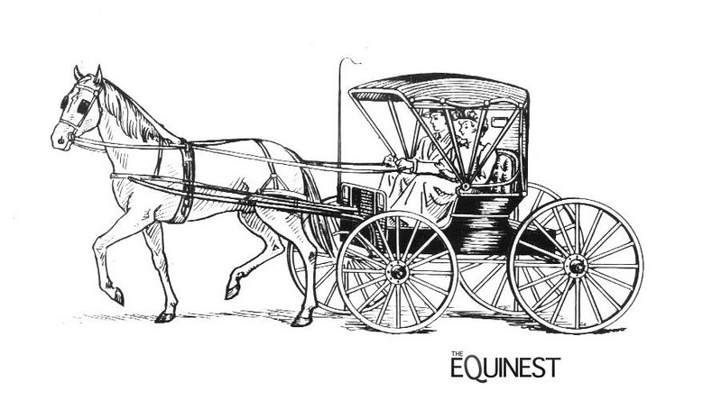 Horse coloring page check out the whole set here horse coâ
