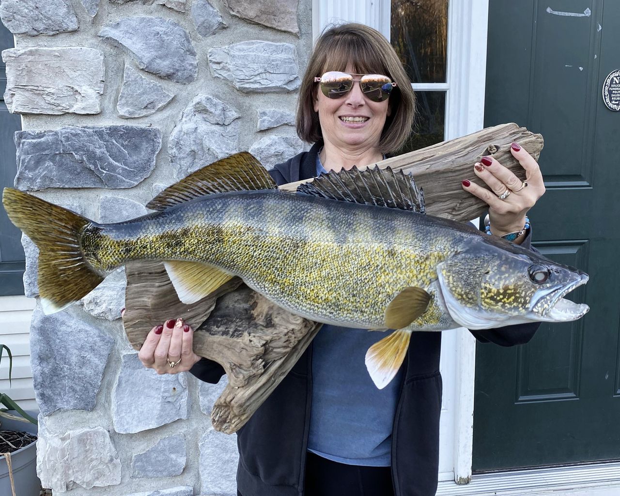 Angler uncorks enormous walleye from ice on lake ontario