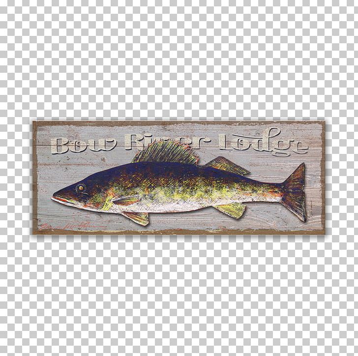 Walleye fishing fly fishing trout png clipart aluminium craft desktop wallpaper fauna fish free png download