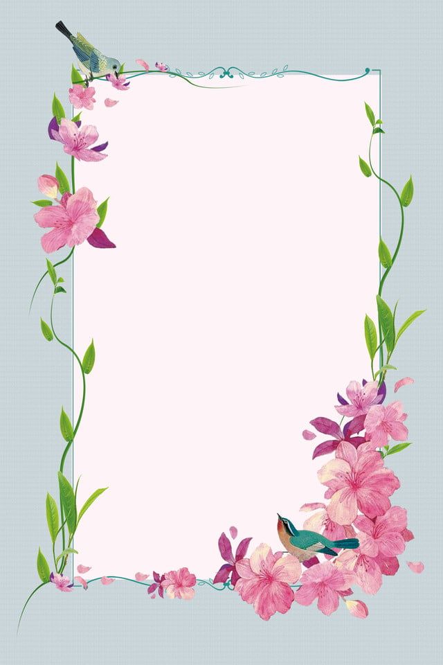 Simple plant flower ve little bird background flower frame flower background wallpaper best flower wallpaper