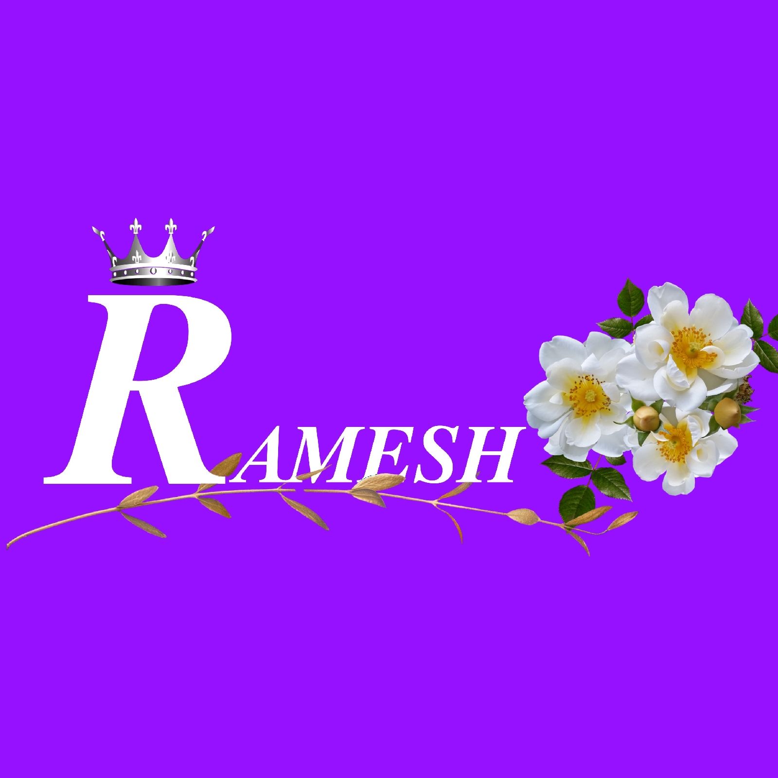 Ramesh studio - My New Logo | Facebook