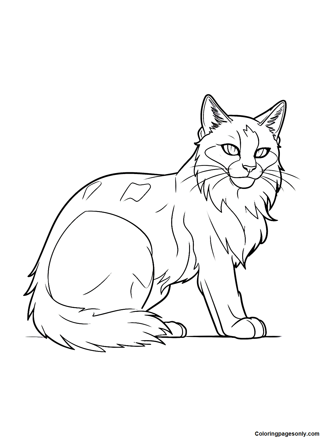 Warrior cats coloring pages printable for free download
