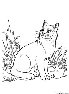 Warrior cats coloring pages ideas cat coloring page warrior cats world of warriors
