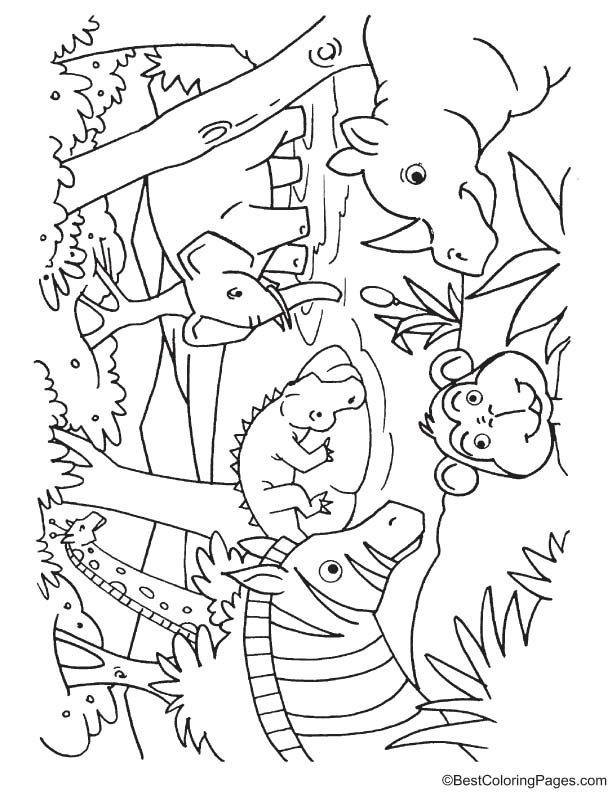 Animals drinking water coloring page download free animals drinking water coloring page for kids best coloring pages