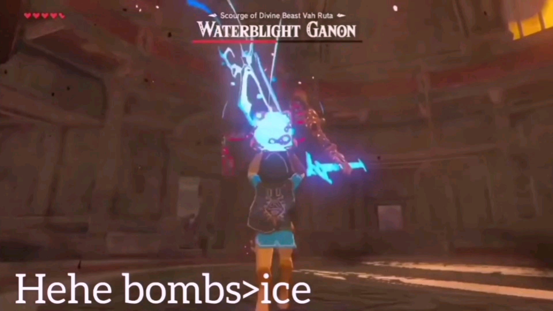 I manged to somehow beat waterblight ganon with only bombs rbreathofthewild