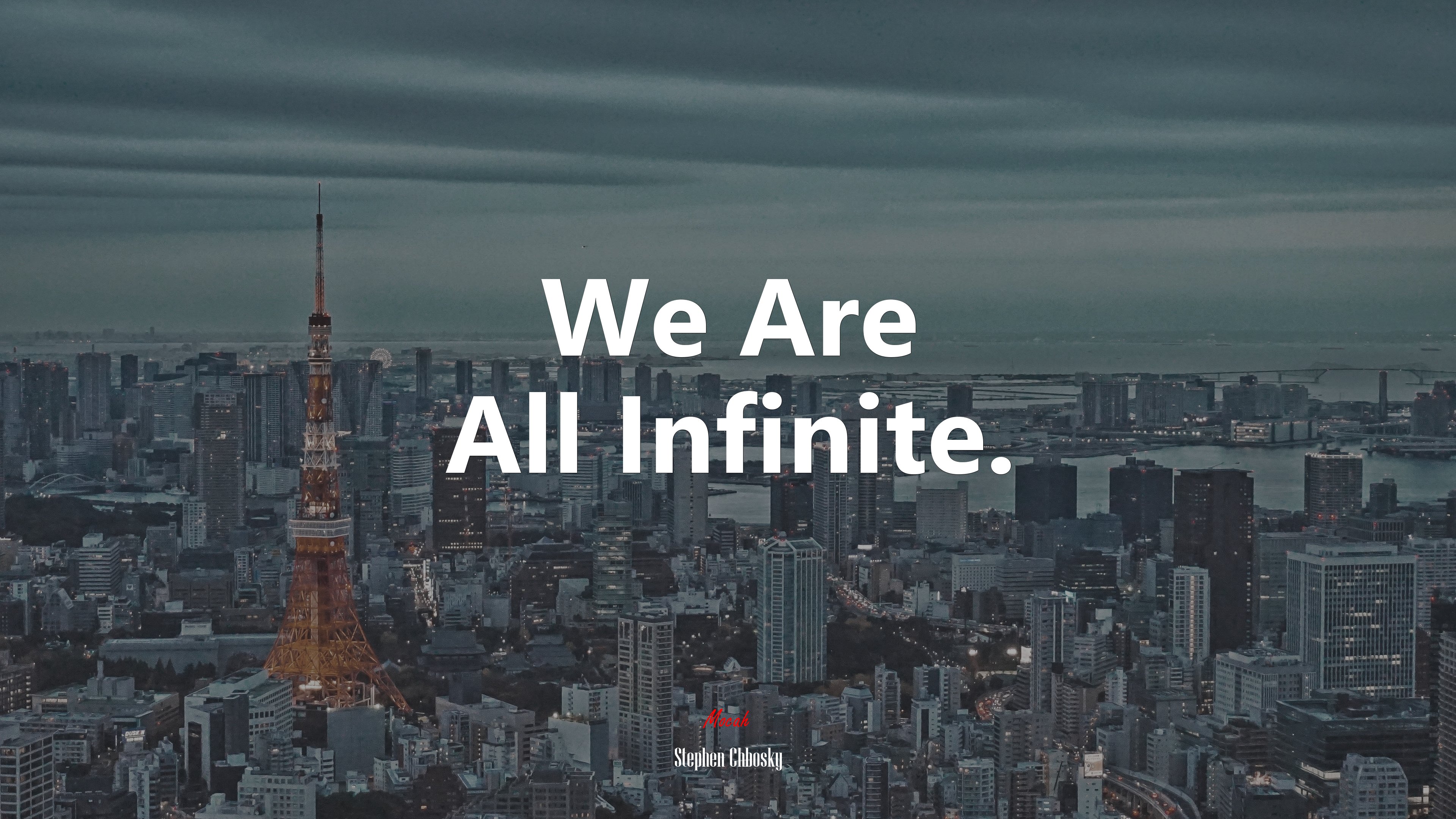 We are all infinite stephen chbosky quote