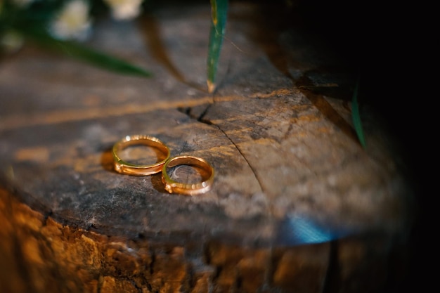 Premium photo wedding rings symbol love family a pair of simple wedding rings