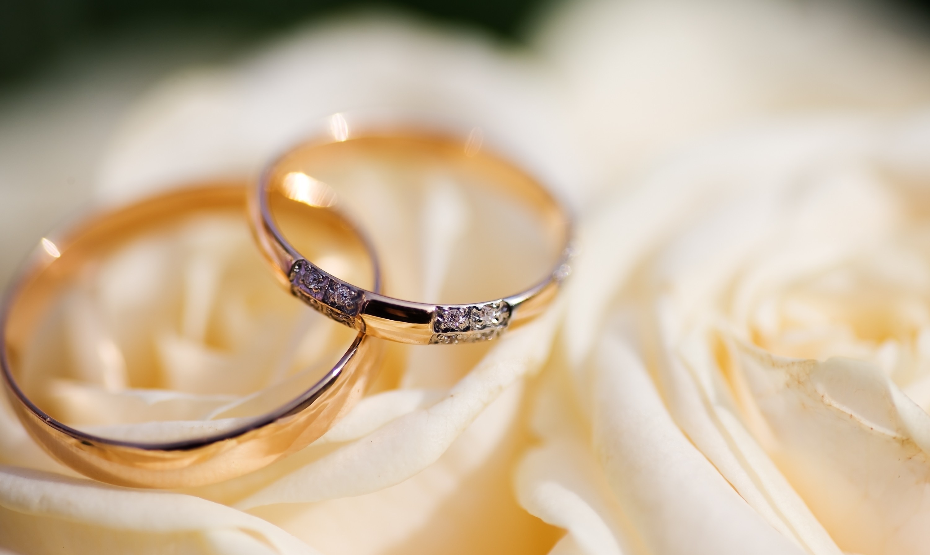 Jewelry closeup ring wedding