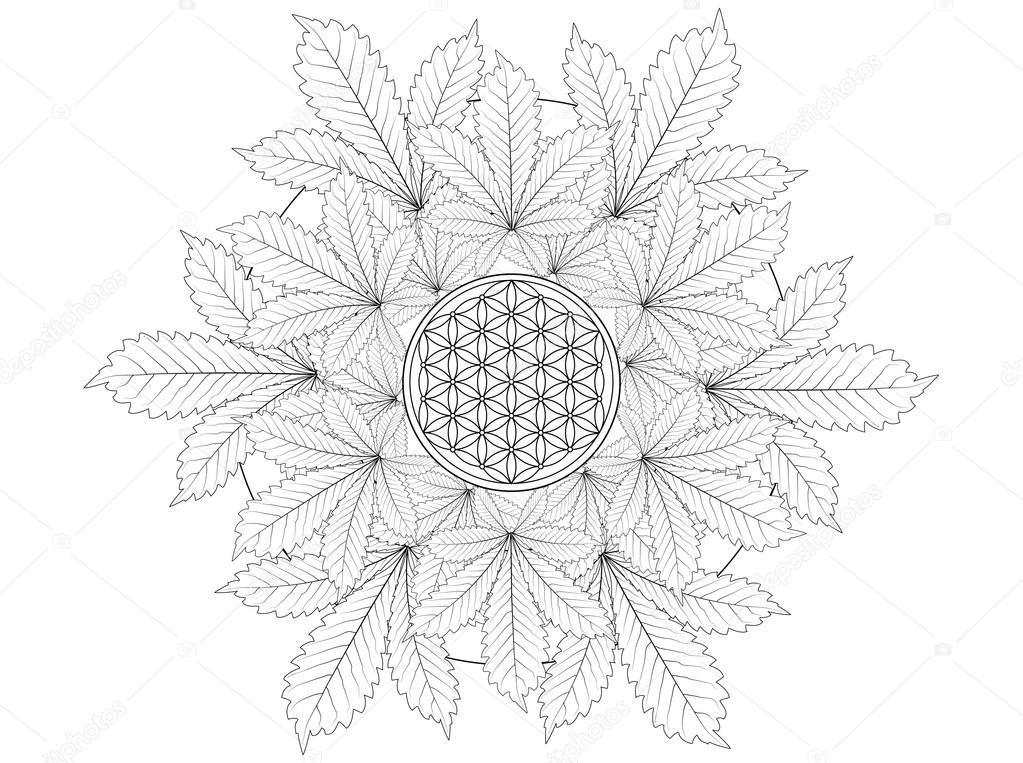 Cannabis leaf mandala coloring page stock illustration by smk