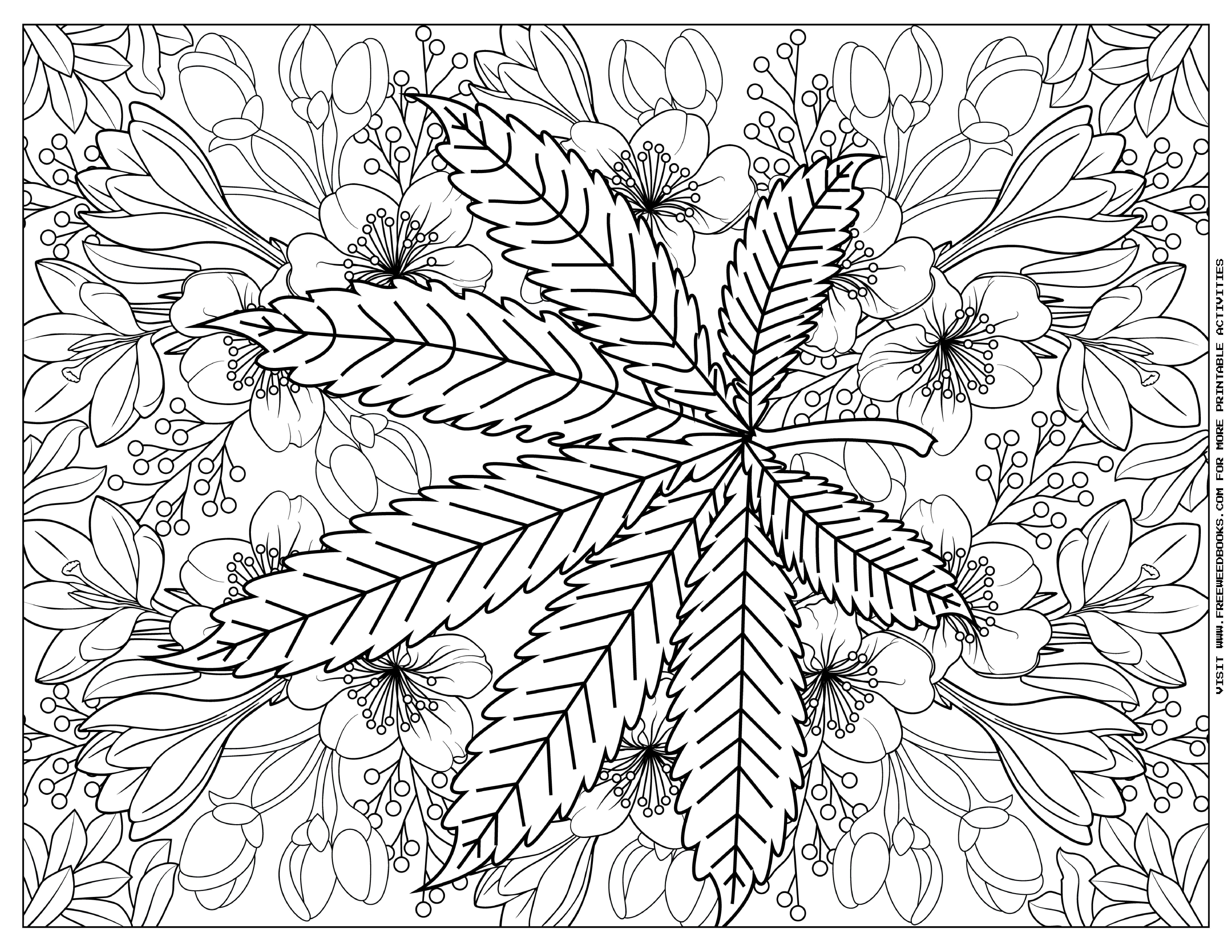 Coloring pages â free weed books