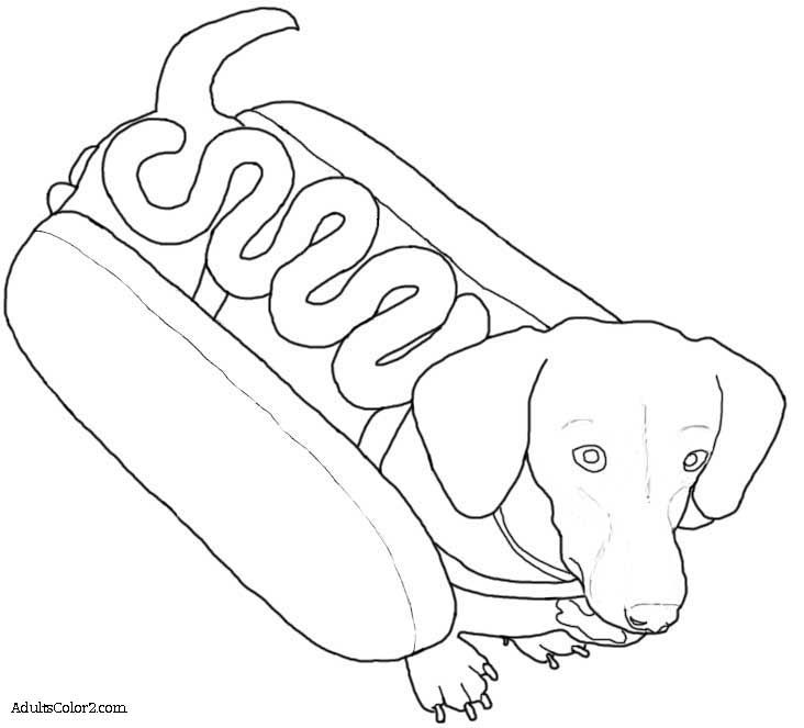 Image result for weenie dog coloring page dog coloring page dog coloring book weiner dog