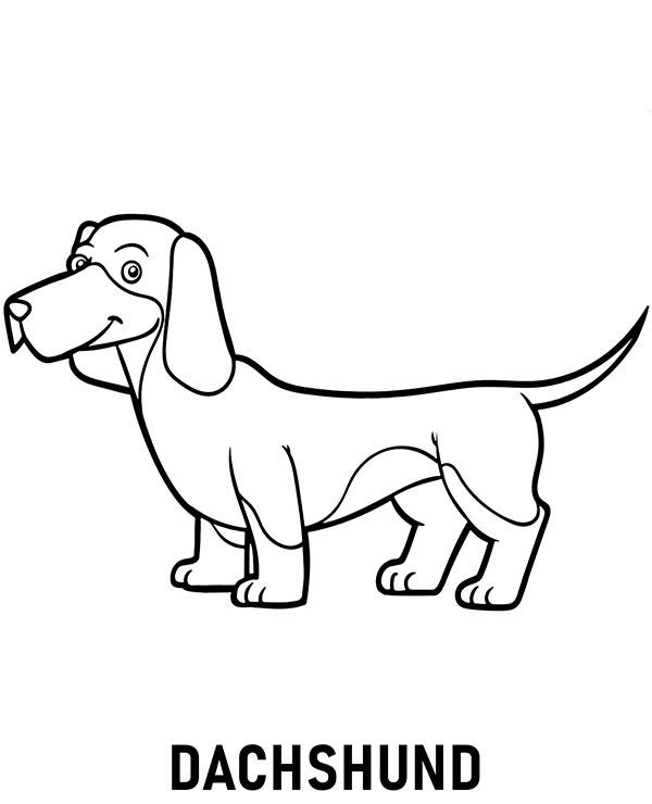 Print dachshund coloring page dog