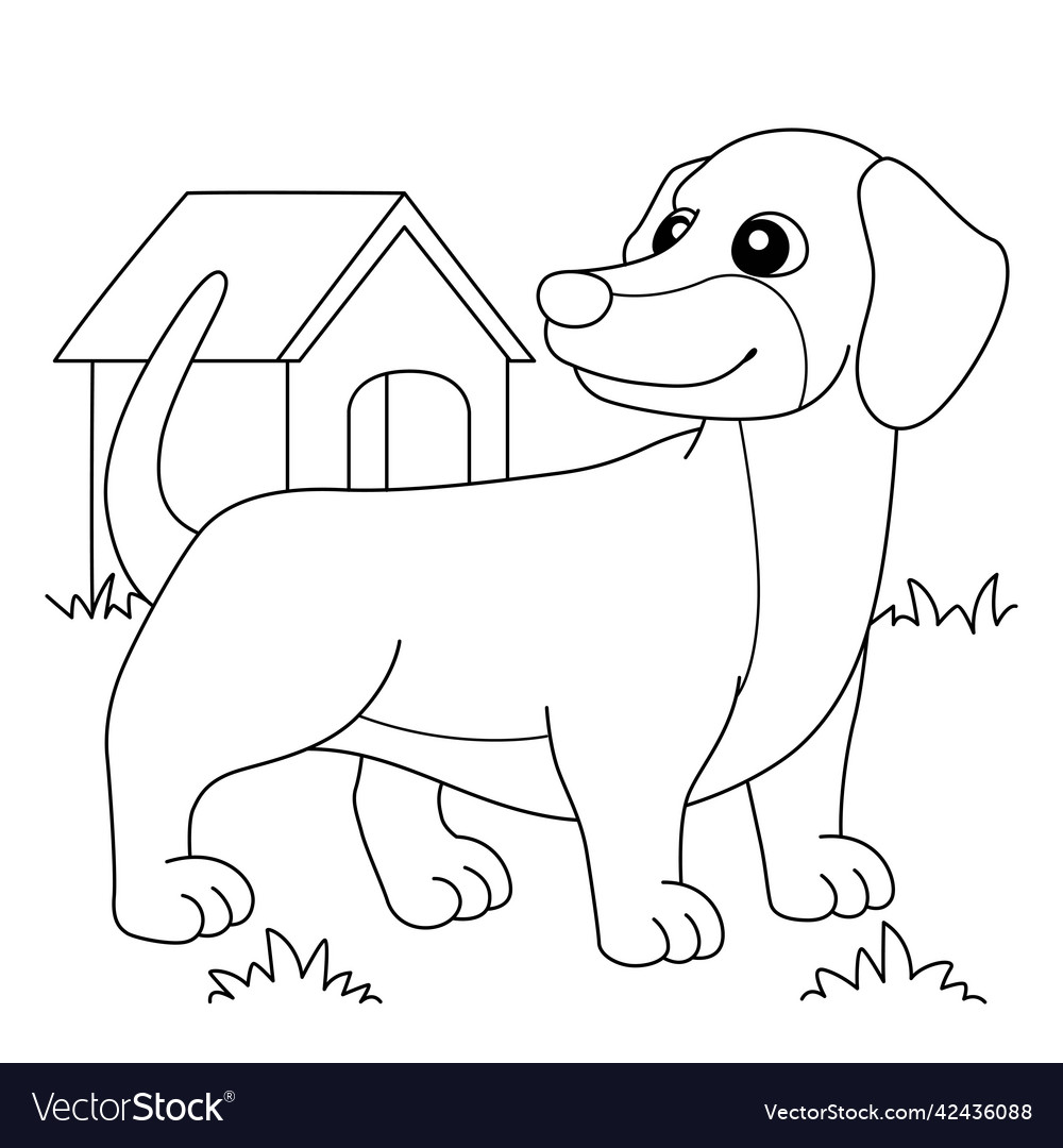 Dachshund dog coloring page for kids royalty free vector