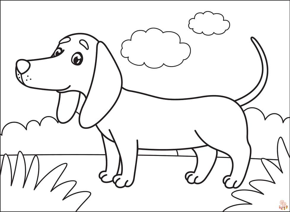 Discover smiling dachshund coloring pages for free